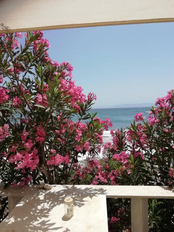 "Sea Front" Rose'S House Villa Kardhiani Exterior photo